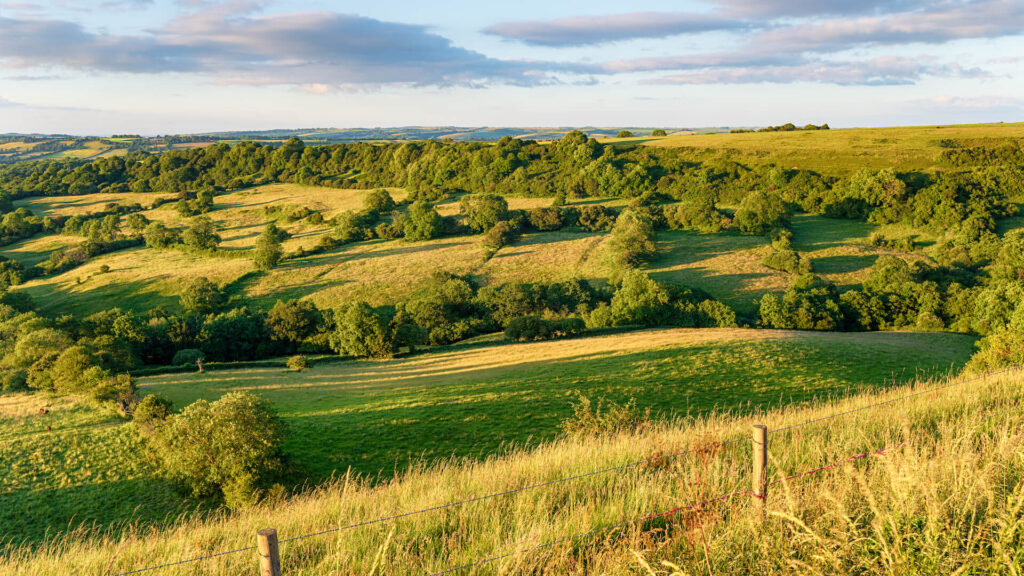 Rolling farmland in the Dorset countryside under a bright sky – showcasing the tranquil rural charm explored on Bespoke England Tours’ private journeys through southern England.